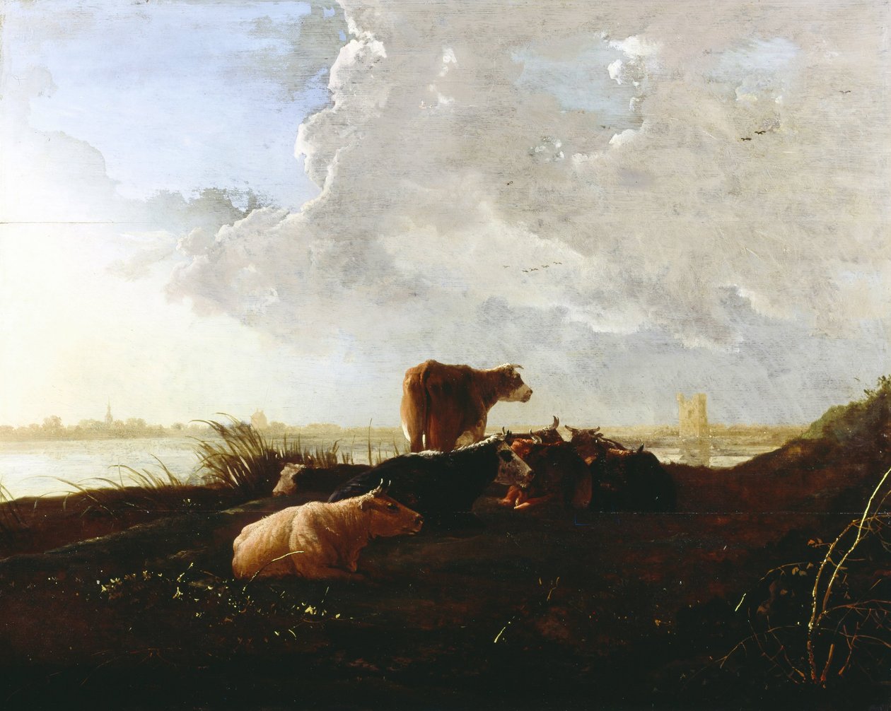 Cattle near a River by Aelbert Cuyp