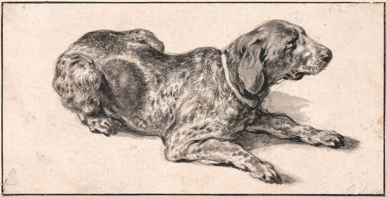 Reclining Dog by Aelbert Cuyp