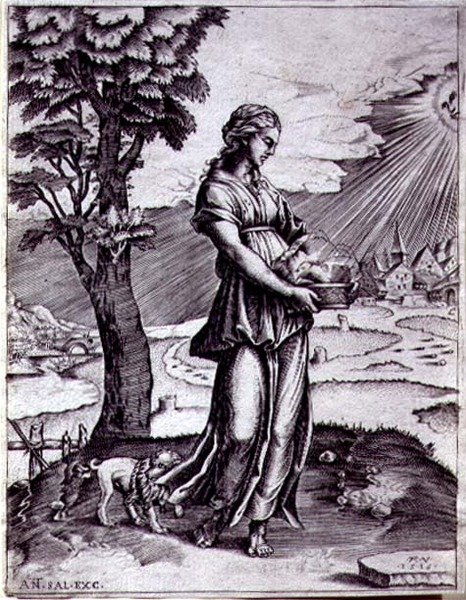 The Cumaean Sibyl by Agostino Musi