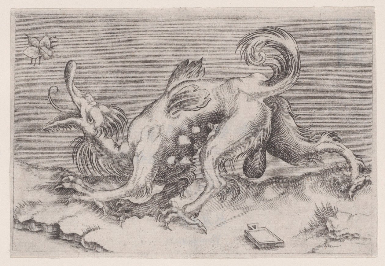 The Dragon and the Bee by Agostino Veneziano