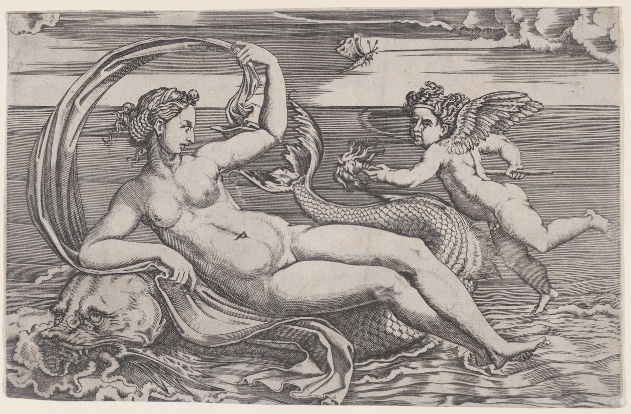 Venus Reclining on a Dolphin by Agostino Veneziano