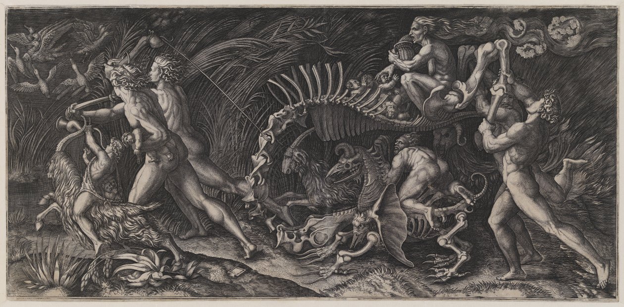 The Carcass (