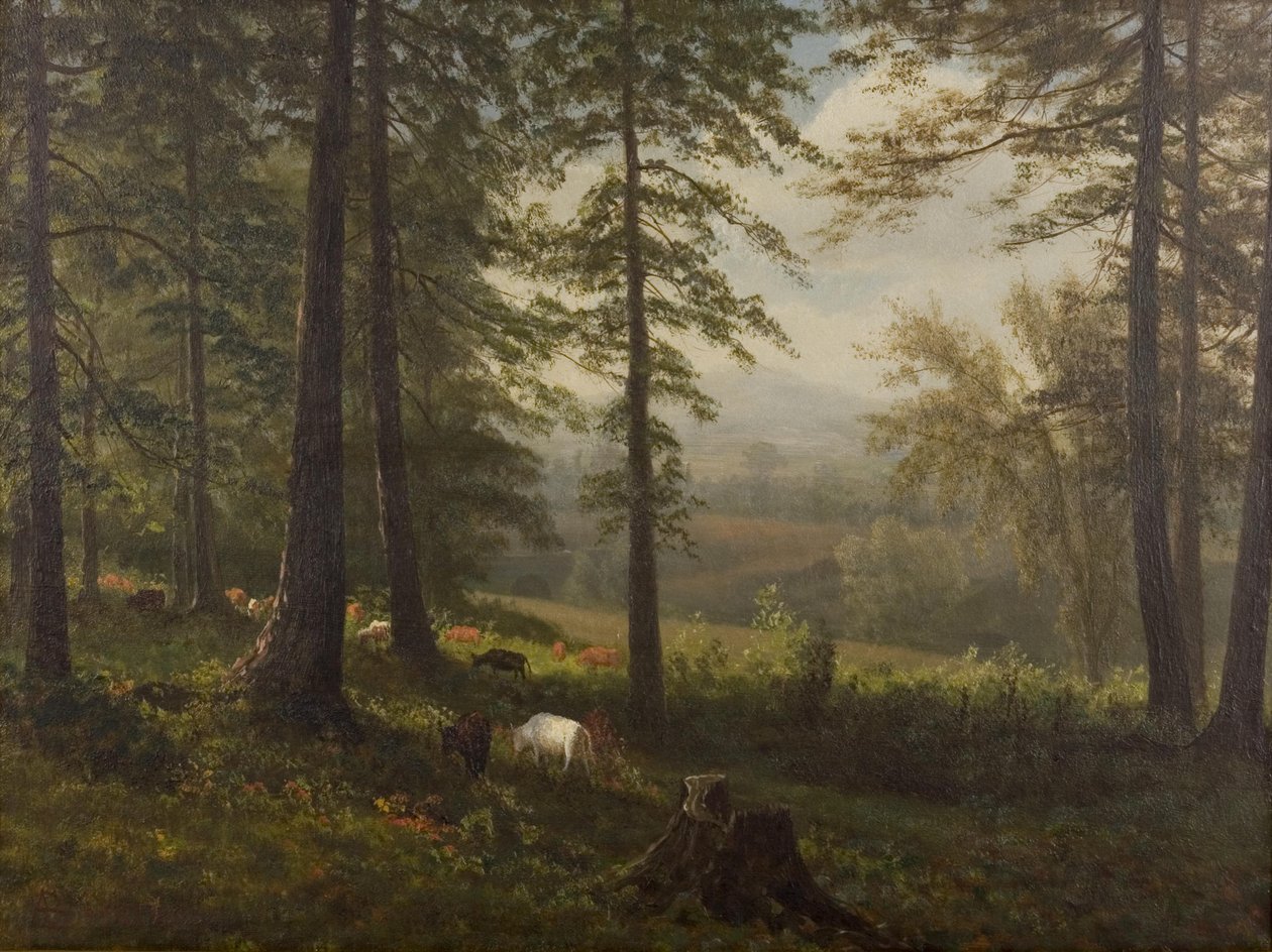 View to a Clearing by Albert Bierstadt