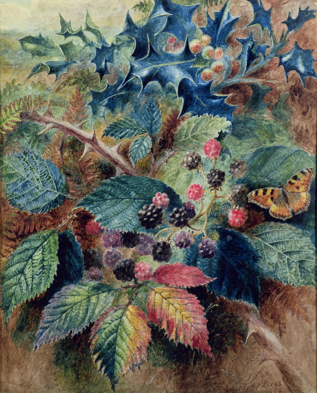 Blackberries and Holly with a Butterfly by Albert Durer Lucas