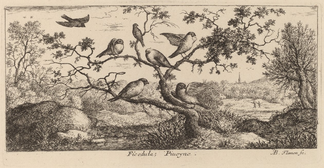Ficedula, The Bullfinch by Albert Flamen