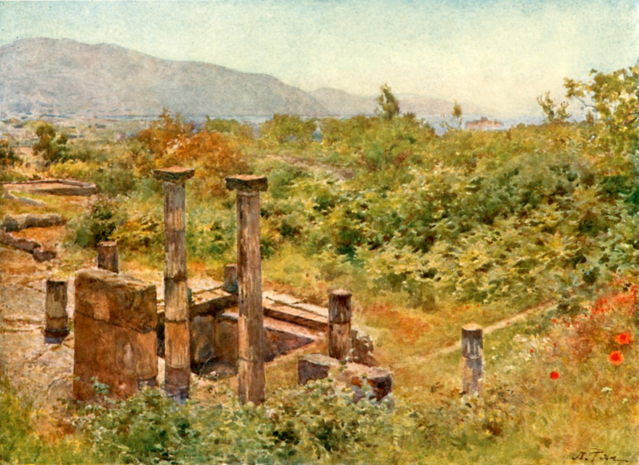 View from Pompeii by Alberto Pisa