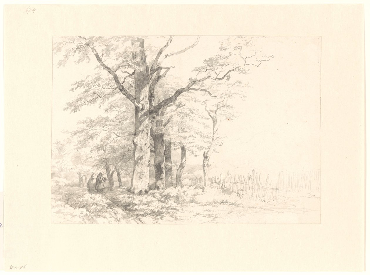 Study of Oaks in a Landscape by Albertus Brondgeest