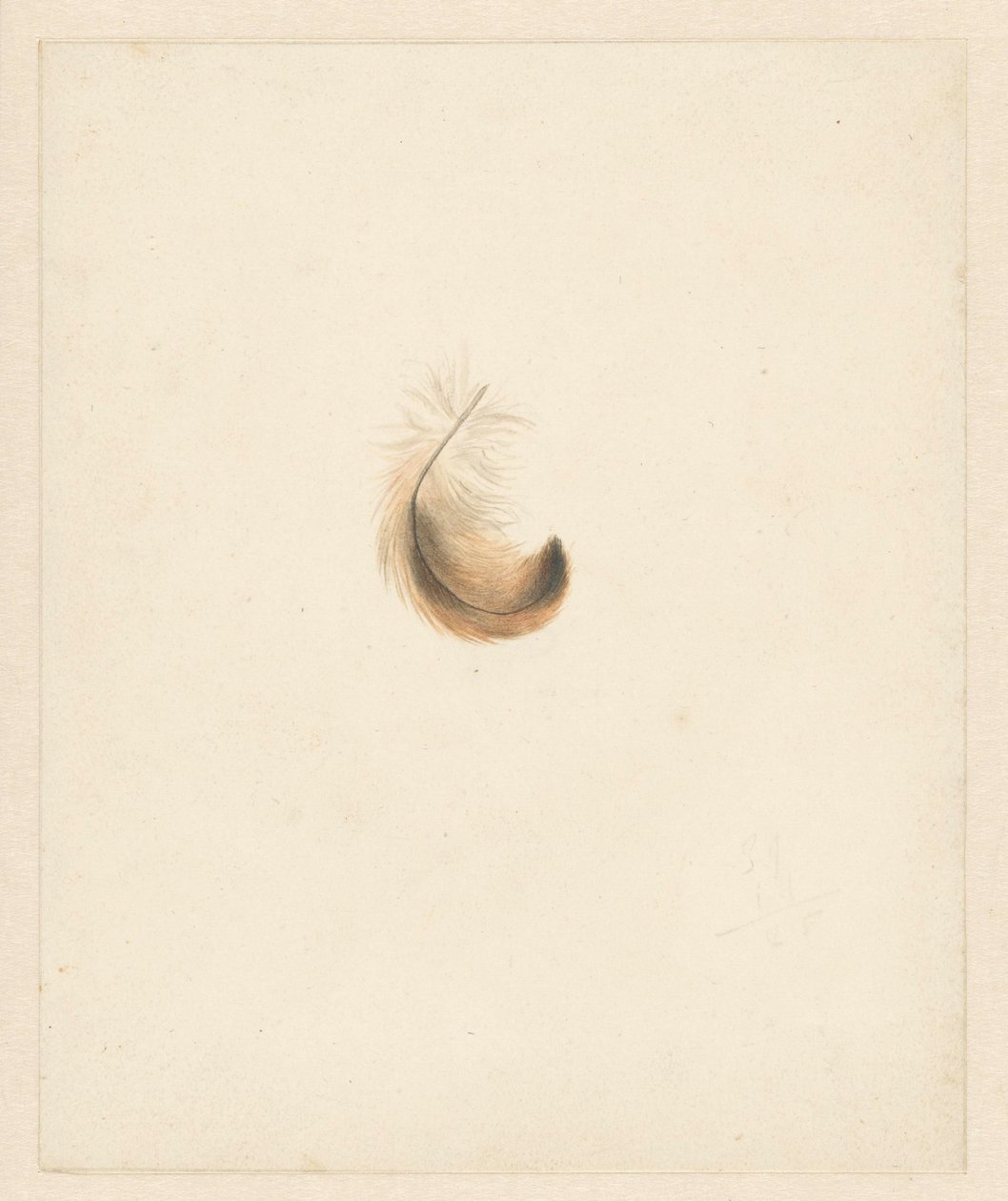 Study of a Feather by Albertus Steenbergen