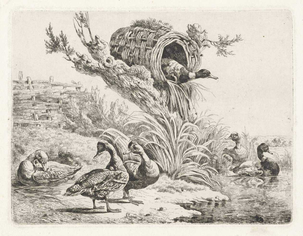 Ducks by a Waterside by Albertus Verhoesen