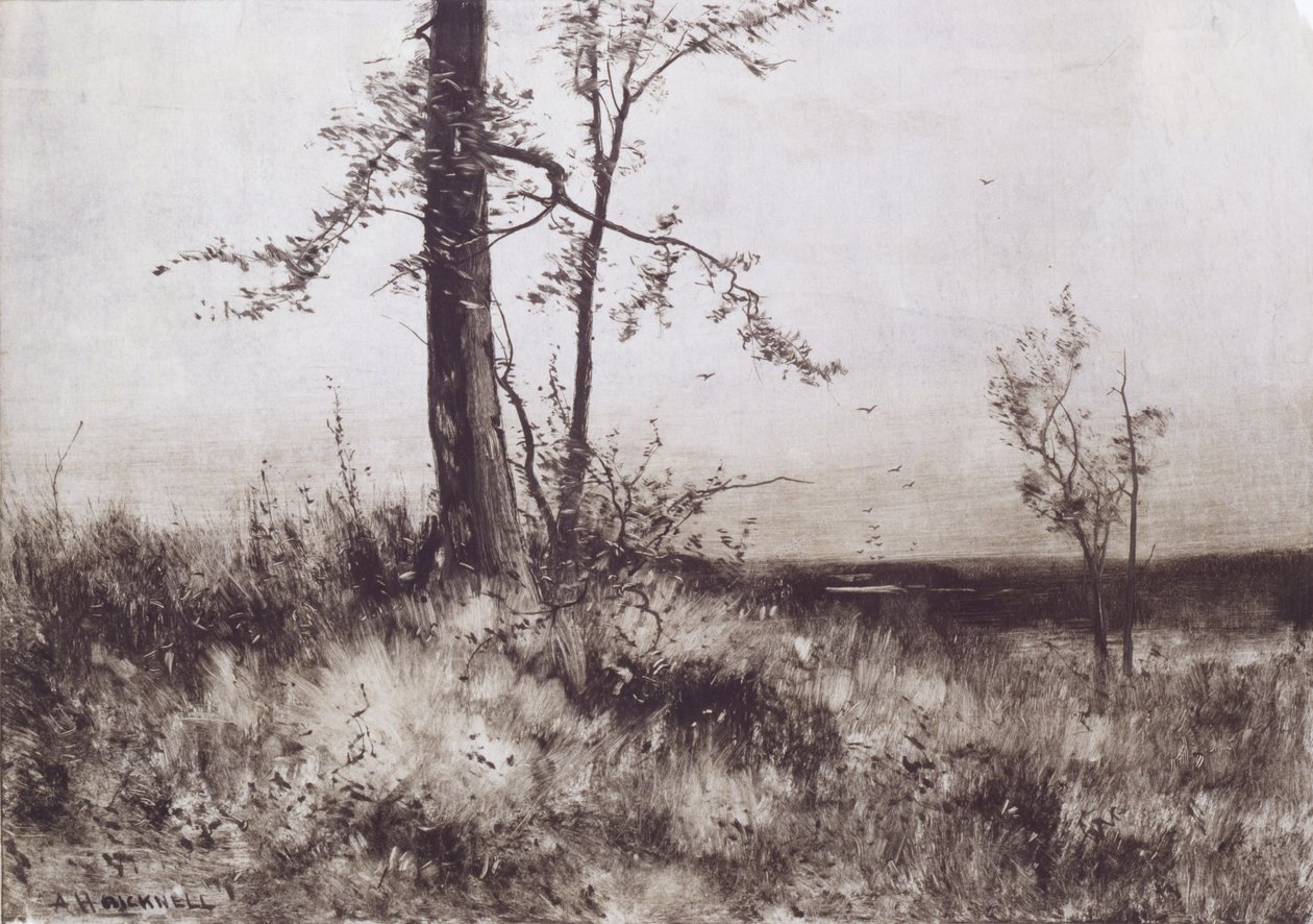 Landscape by Albion Harris Bicknell