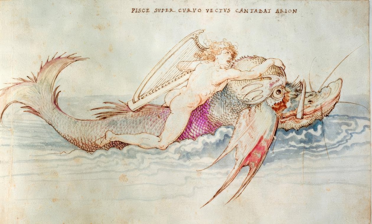 Arion Rescued by a Dolphin by Albrecht Dürer