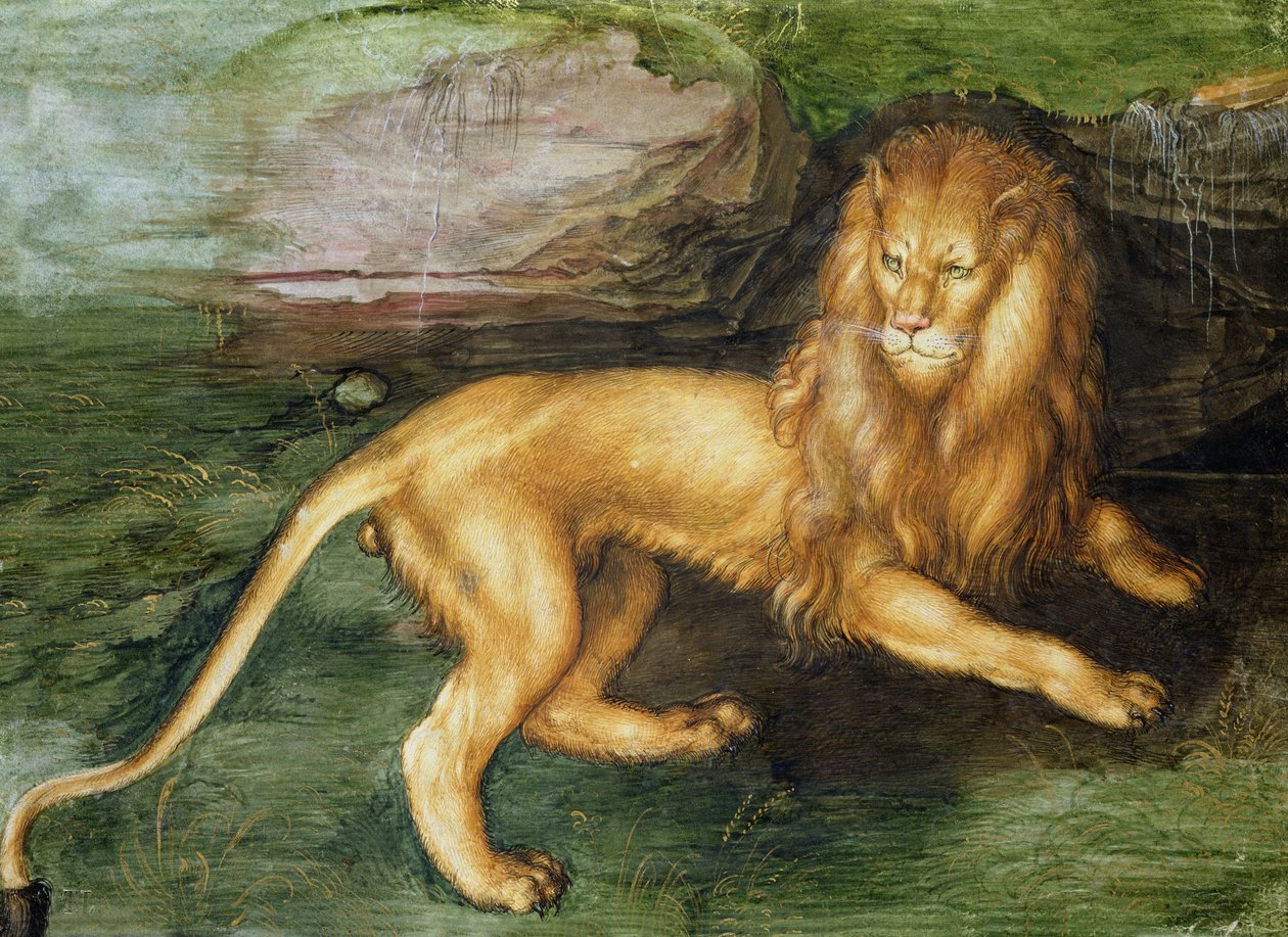 Lion by Albrecht Dürer
