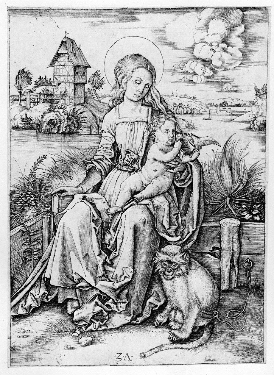Madonna with the Monkey by Albrecht Dürer