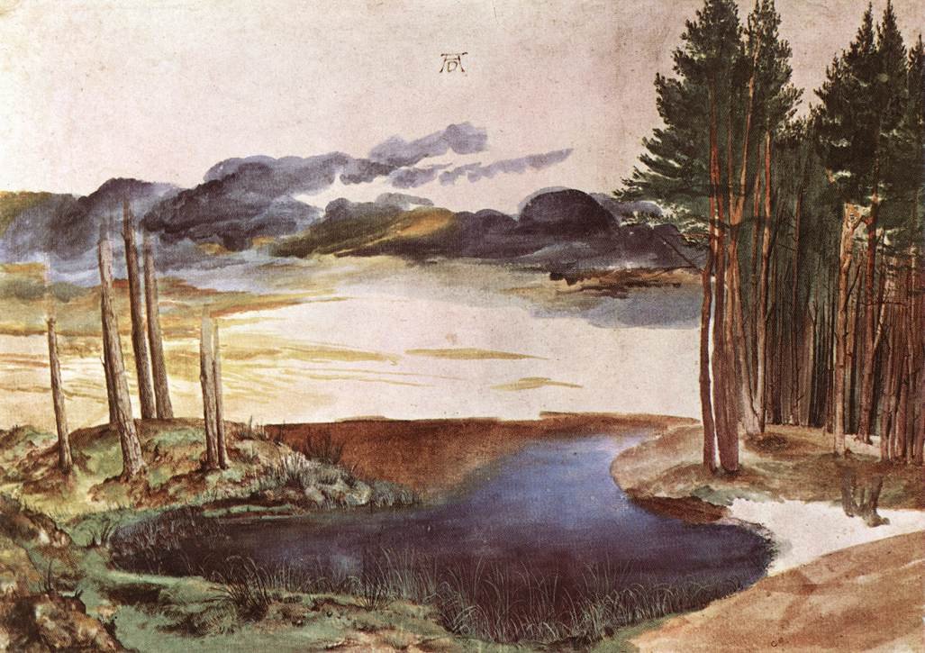 Pond in the Woods by Albrecht Dürer