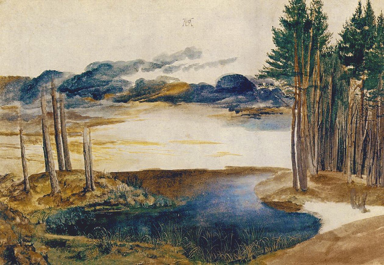Pond in the Wood, c.1496 by Albrecht Dürer