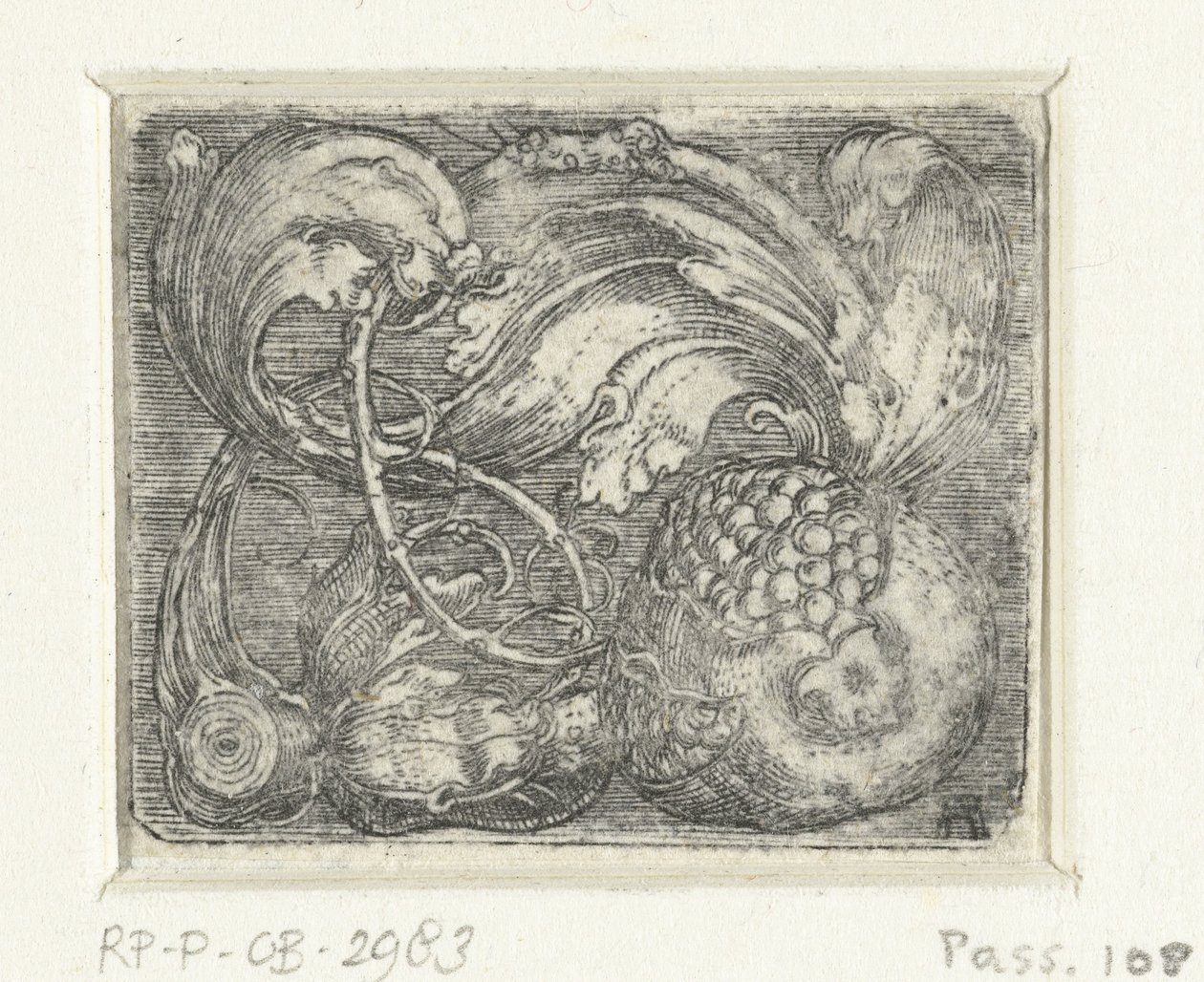 Pomegranate and Foliage by Albrecht Altdorfer