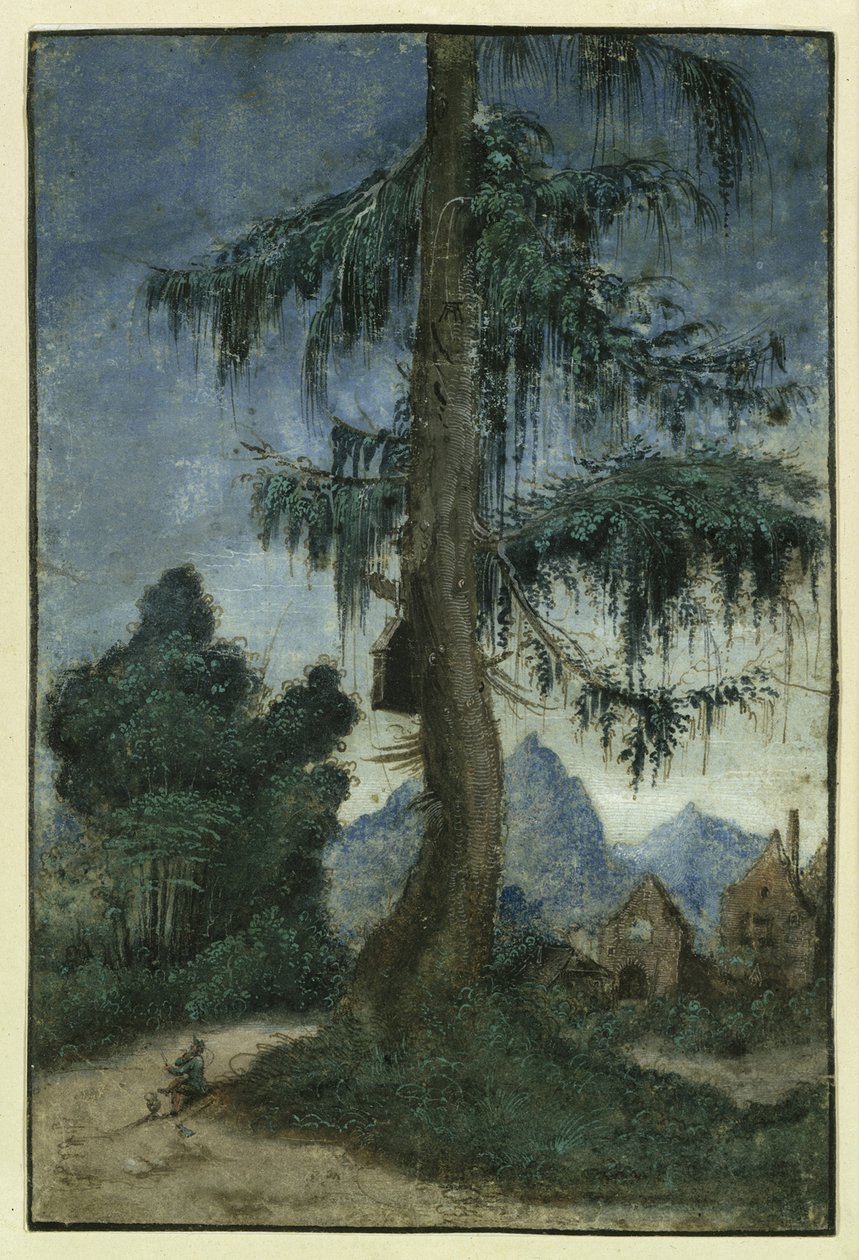 Landscape with a spruce, ca 1522 by Albrecht Altdorfer
