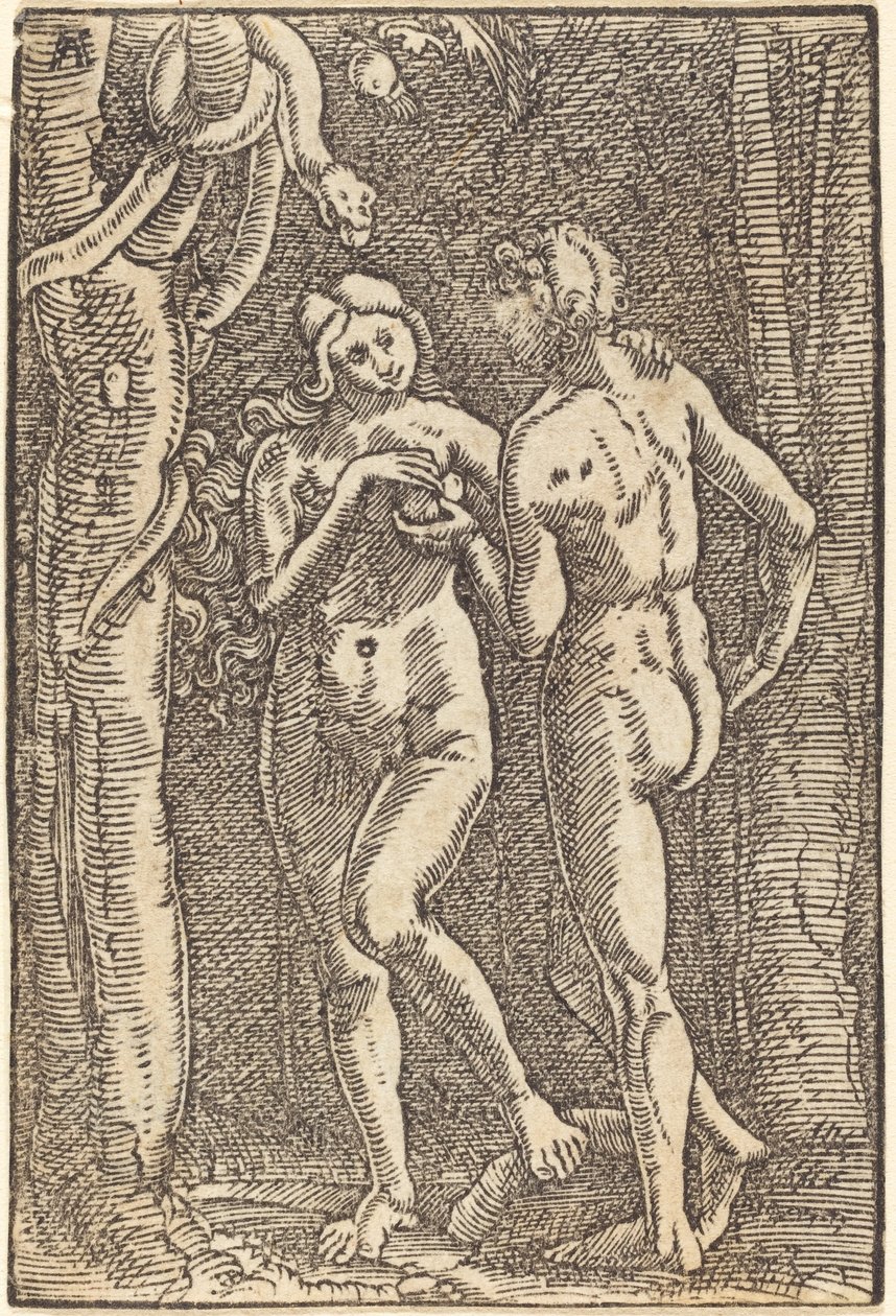 The Fall of Man by Albrecht Altdorfer
