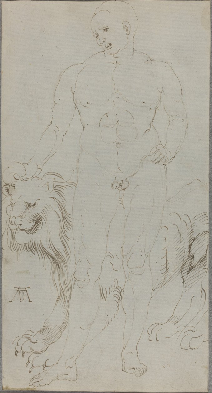 Male Nude with a Lion by Albrecht Dürer