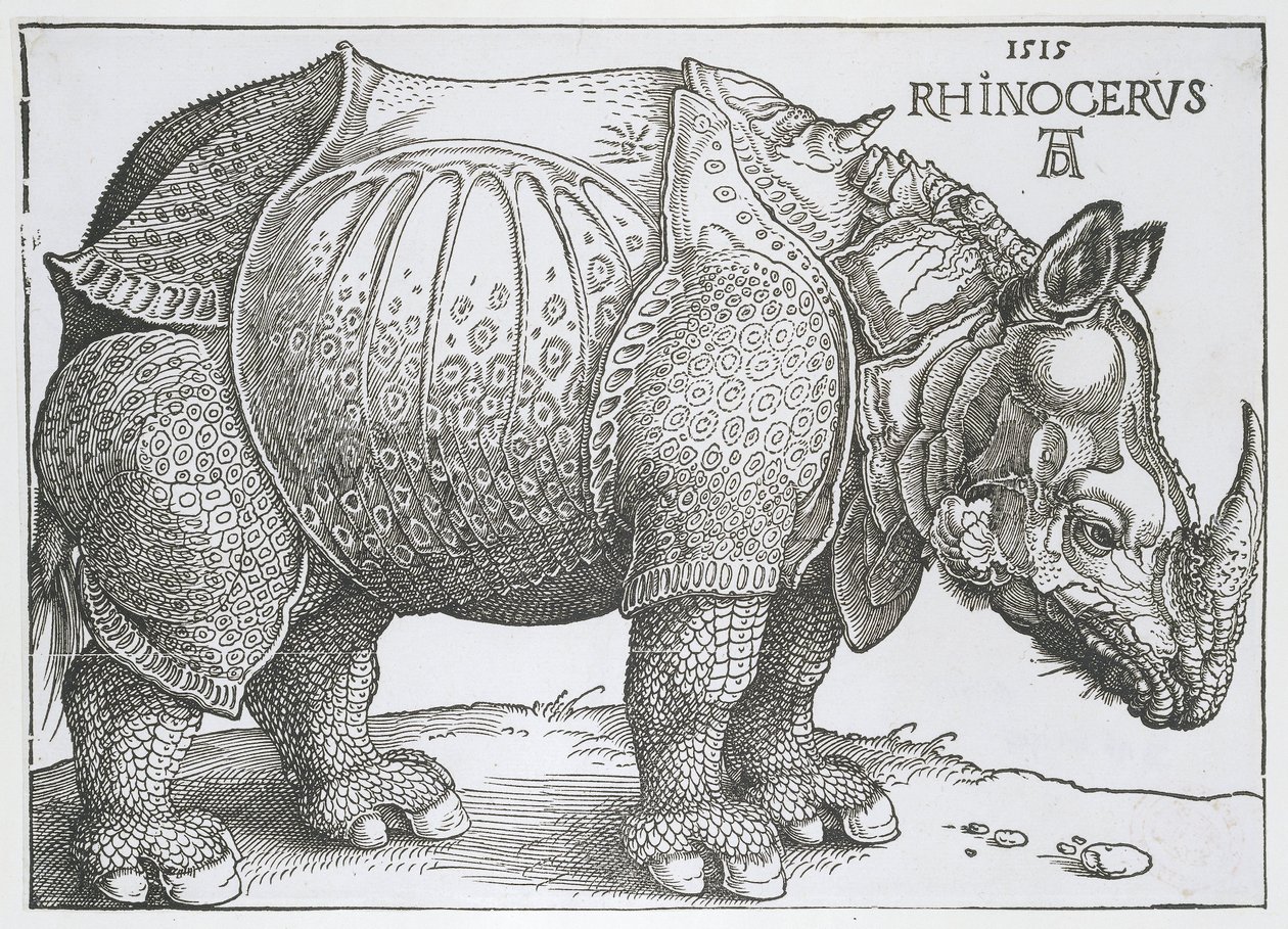 Rhinoceros by Albrecht Dürer