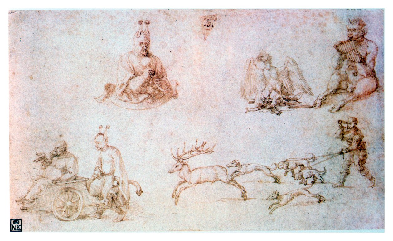 Red Chalk Study by Albrecht Dürer