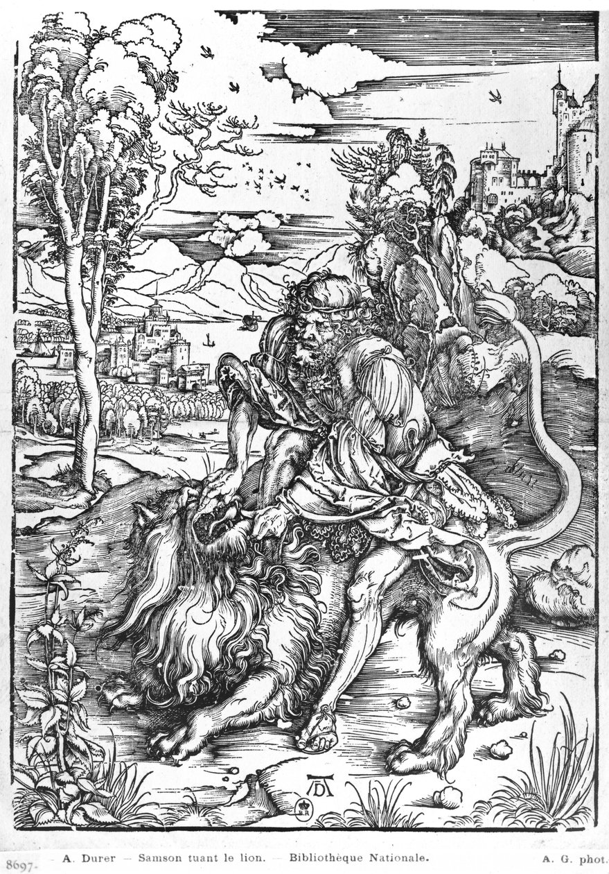 Samson slaying the lion by Albrecht Dürer