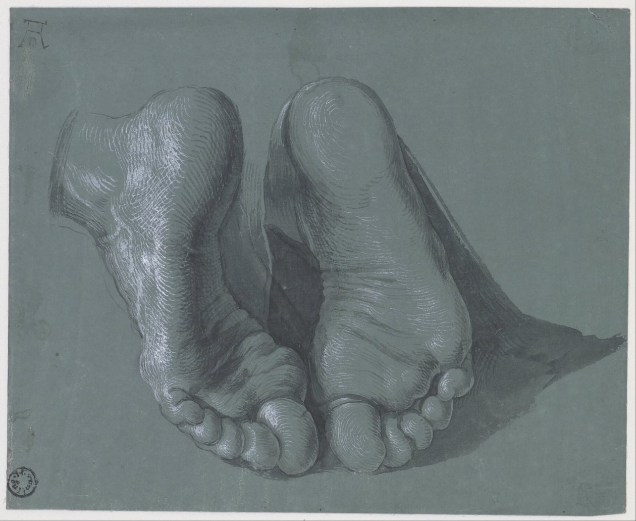 Study of Two Feet by Albrecht Dürer