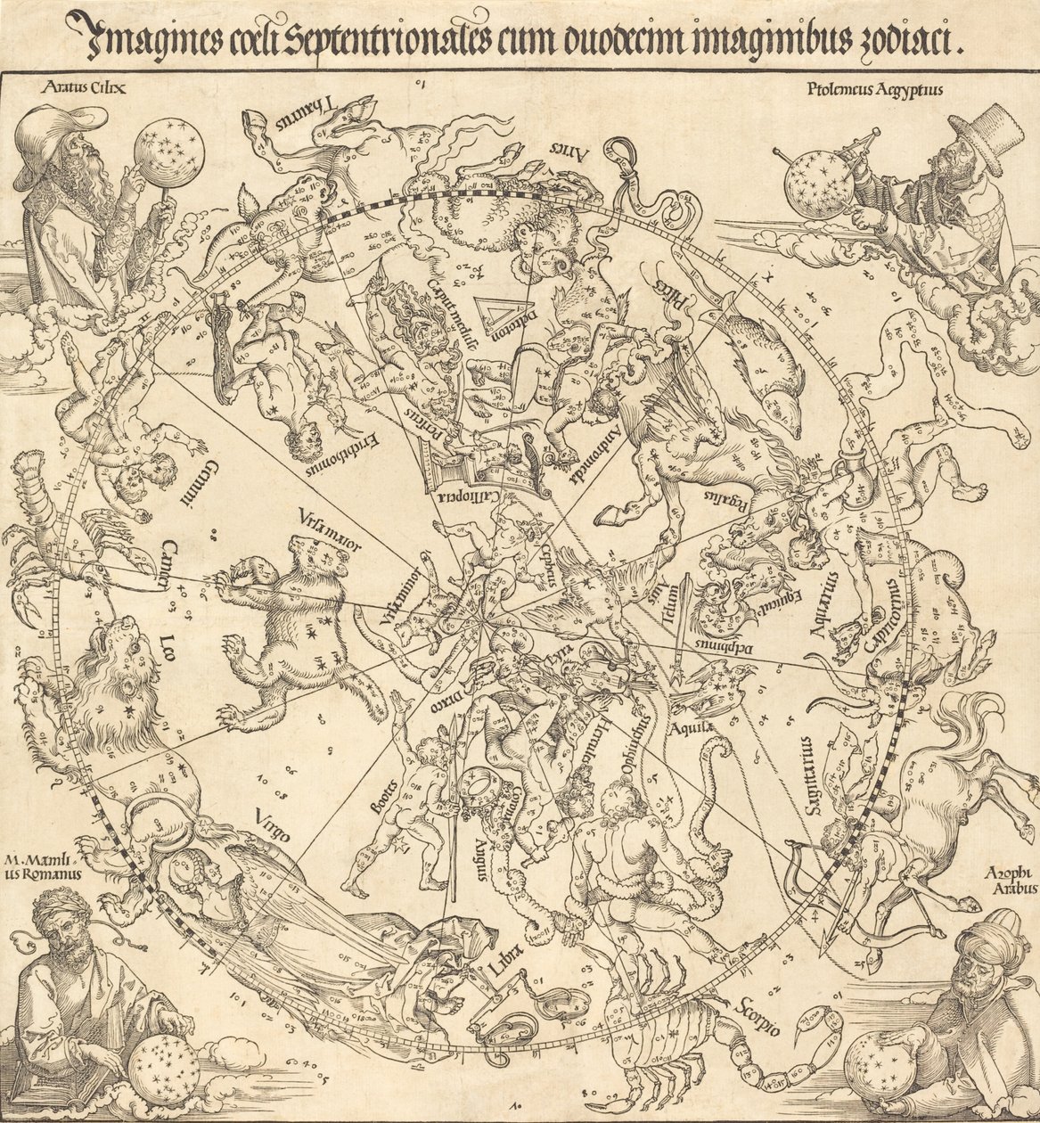 The Northern Celestial Hemisphere by Albrecht Dürer