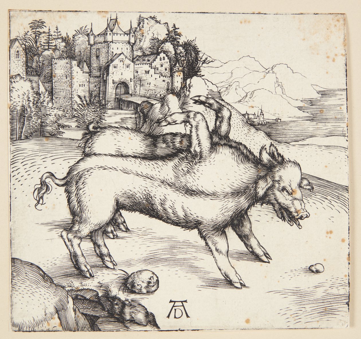 The Monstrous Sow of Landser by Albrecht Dürer