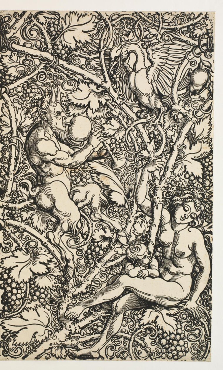 Two Designs for Tapestry with Satyr Family by Albrecht Dürer
