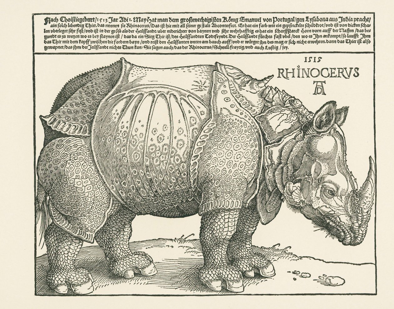 The Rhinoceros by Albrecht Dürer or Duerer