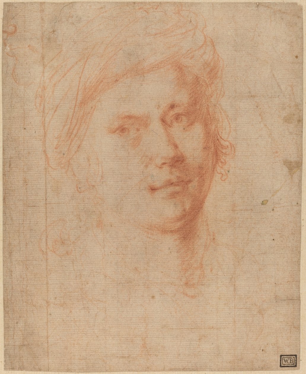 Head of a Youth by Alessandro Allori