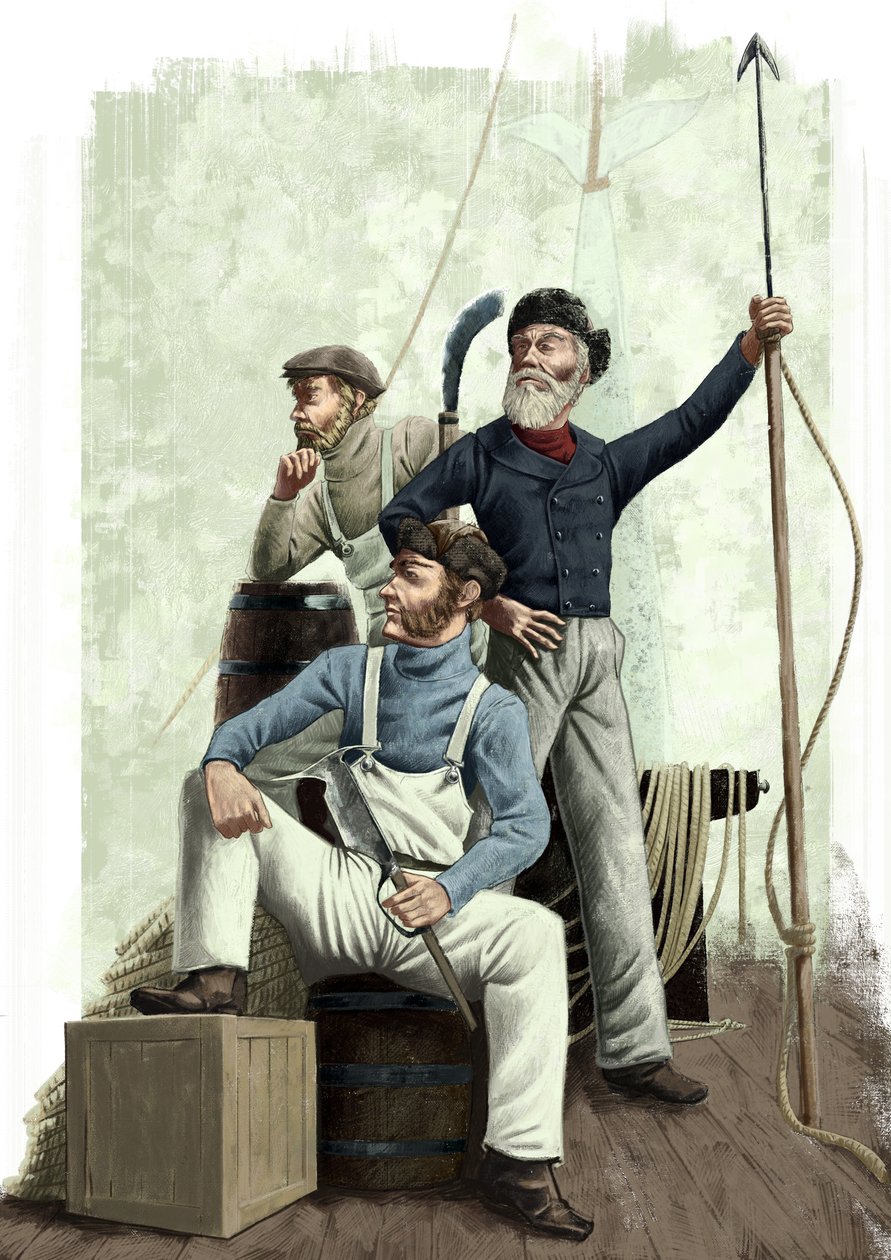 Three Whales by Alessandro Lonati