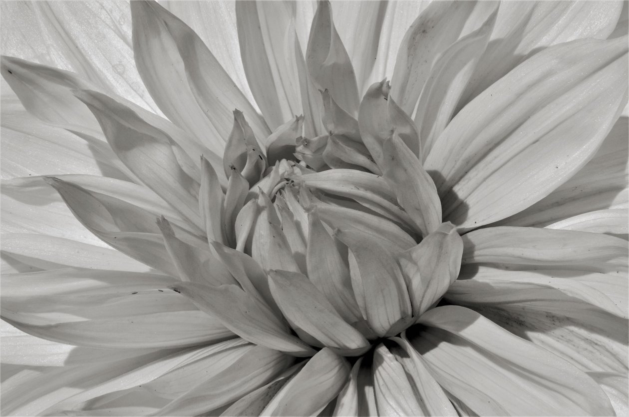 Untitled, 2019 by Alex Caminker