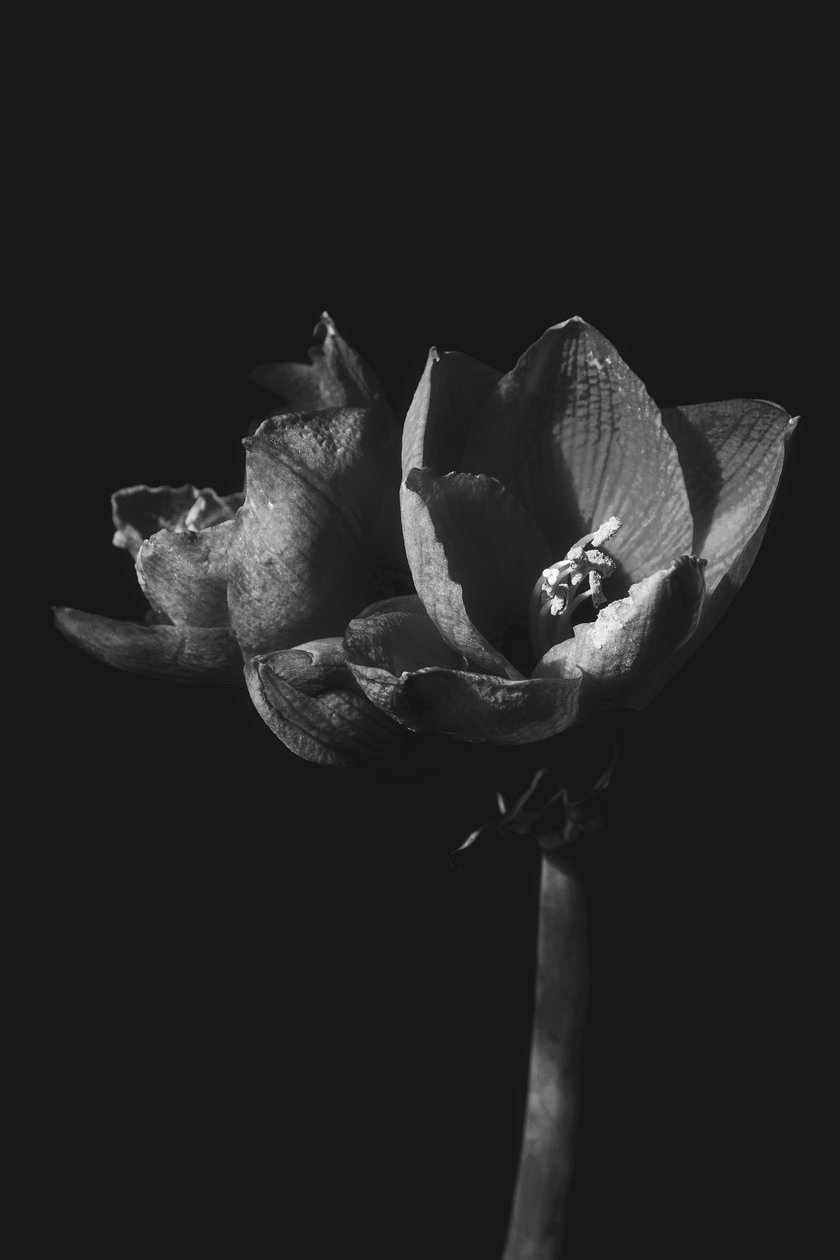 Untitled, 2019 by Alex Caminker