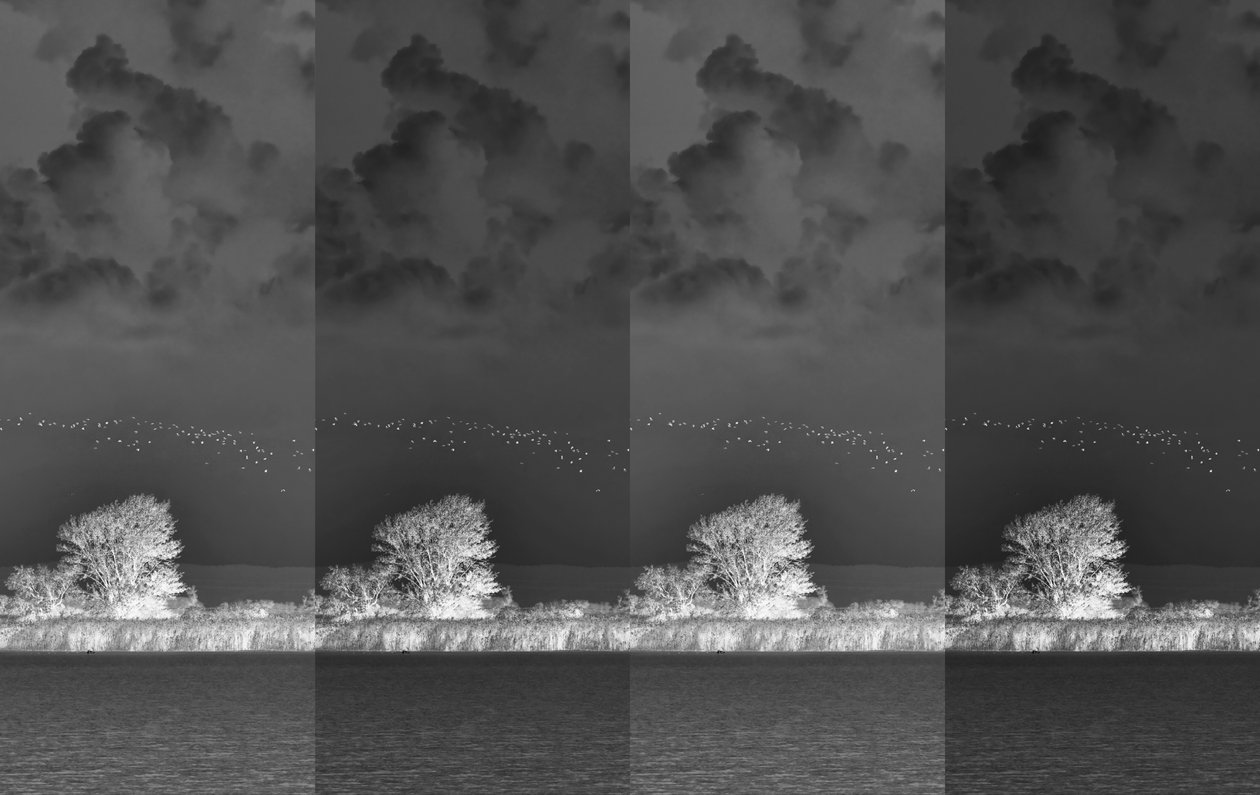 Musical Segments, 2019 by Alex Caminker