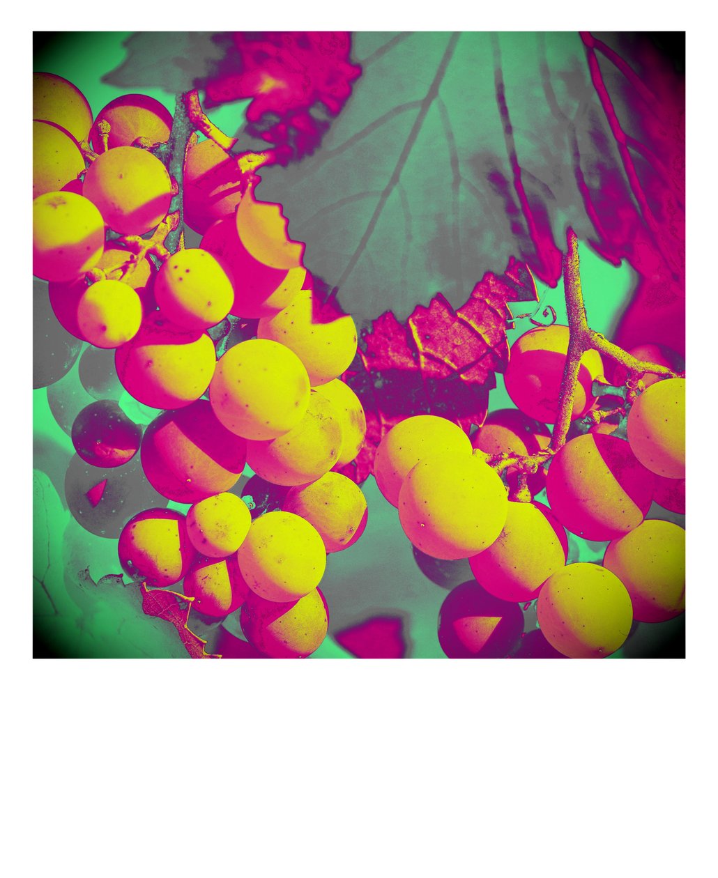 Untitled by Alex Caminker