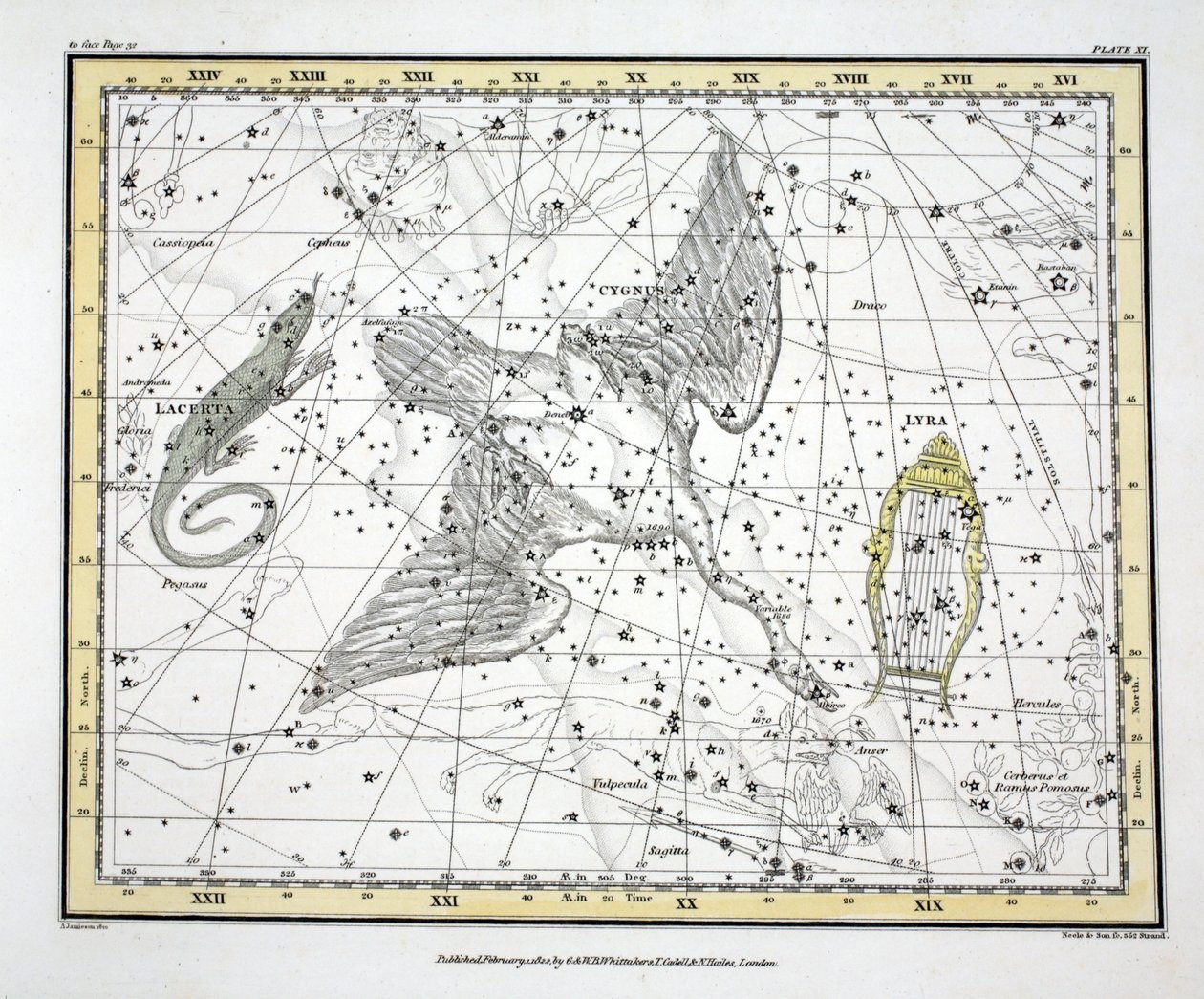 The Constellations (Plate XI) Cygnus, Lacerta and Via Lactea, from 