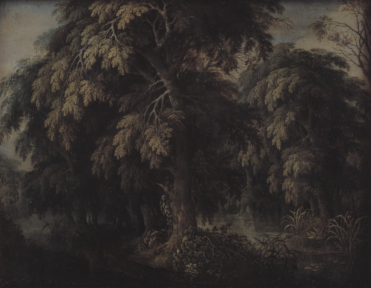 Wooded Landscape by Alexander Keirincx