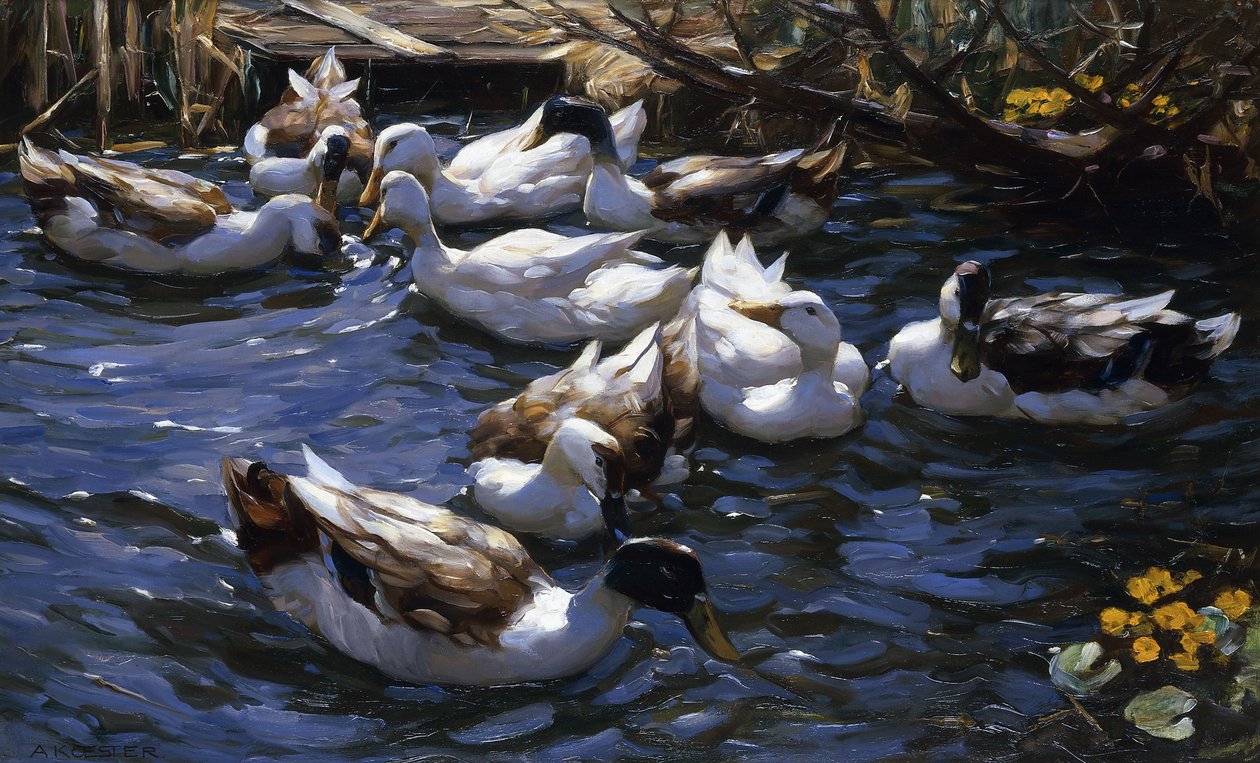 Ducks in the Reeds under the Boughs by Alexander Koester