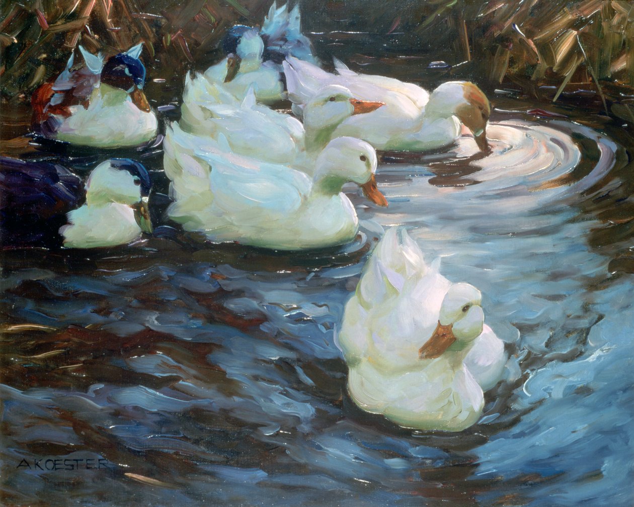 Ducks on a Pond, c. 1884-1932 by Alexander Koester