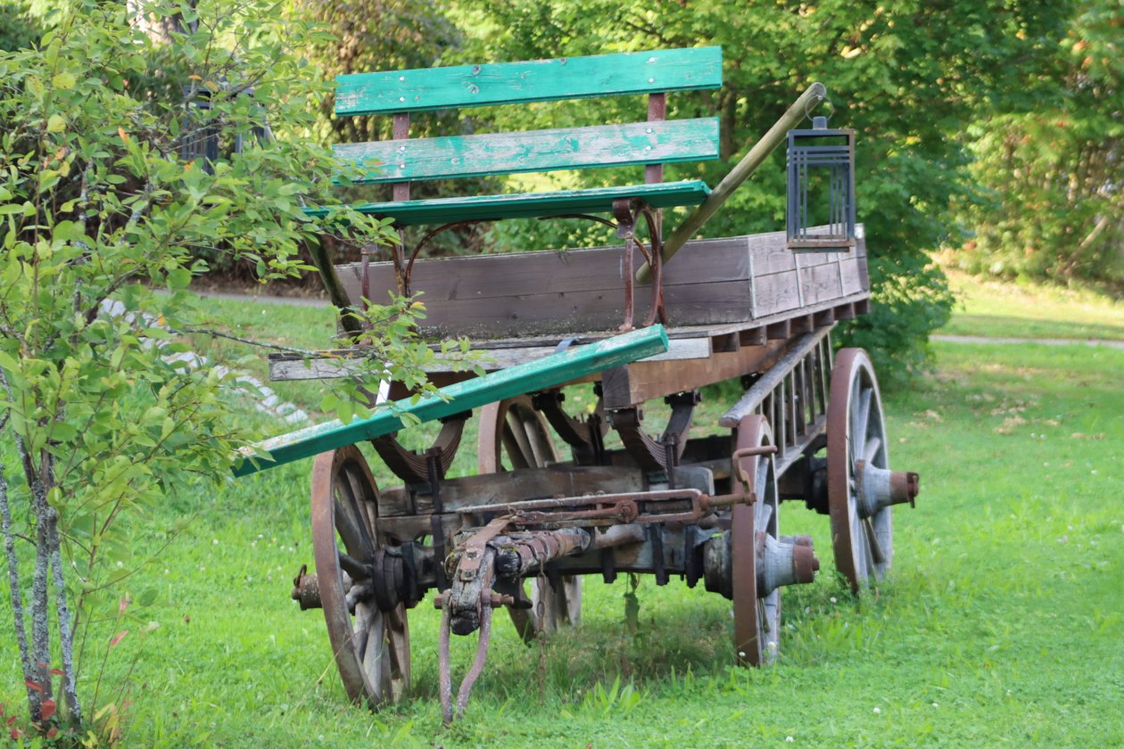 Old Carriage in the Park by Alexandra Joseph