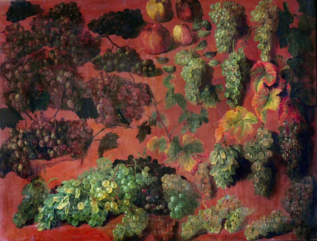 Still Life with Bunches of Grapes by Alexandre Francois Desportes