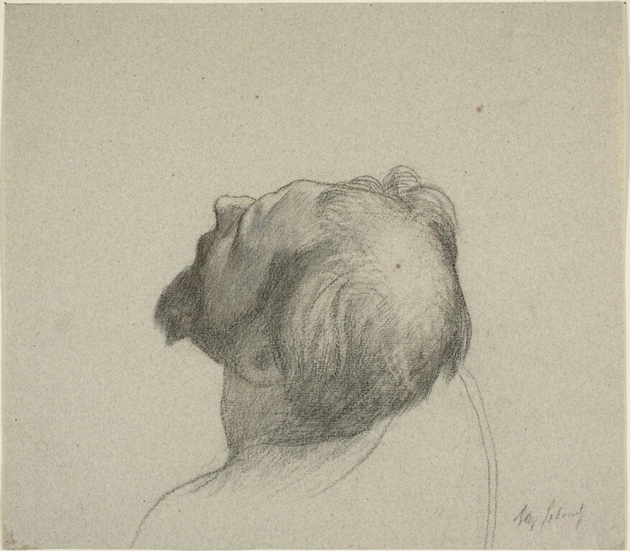 Study of Man