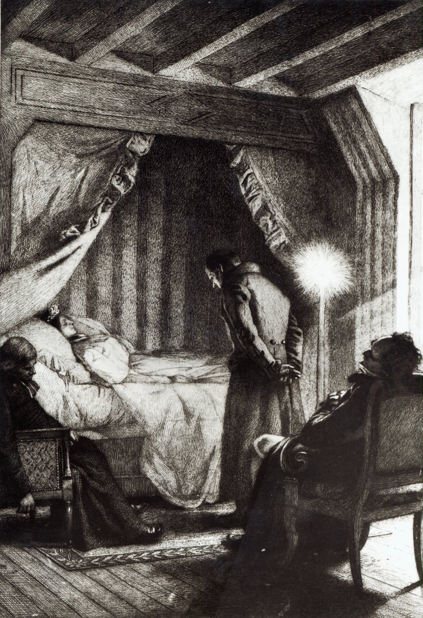 The Death of Emma Bovary by Alfred Paul Marie Richemont