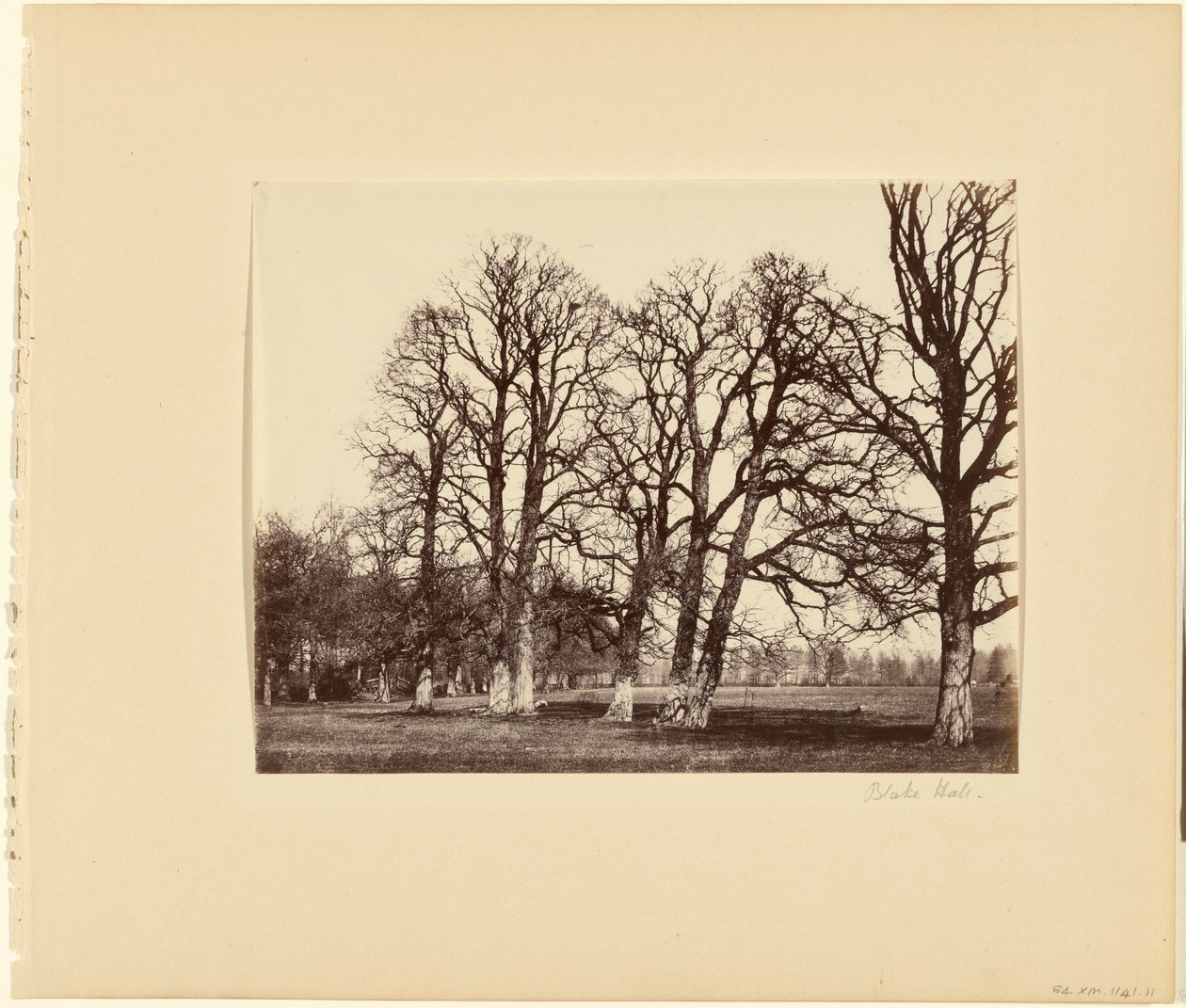 Blake Hall by Alfred Capel Cure