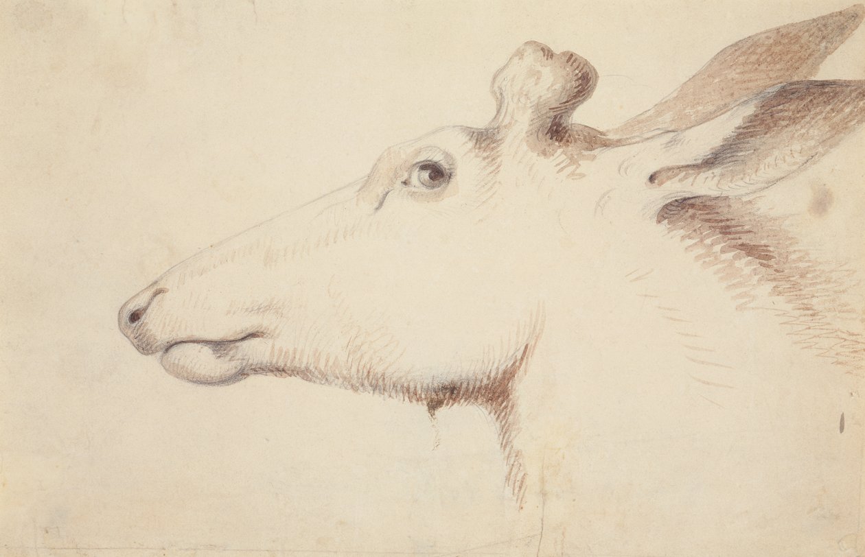 Elk, c.1837 by Alfred Jacob Miller