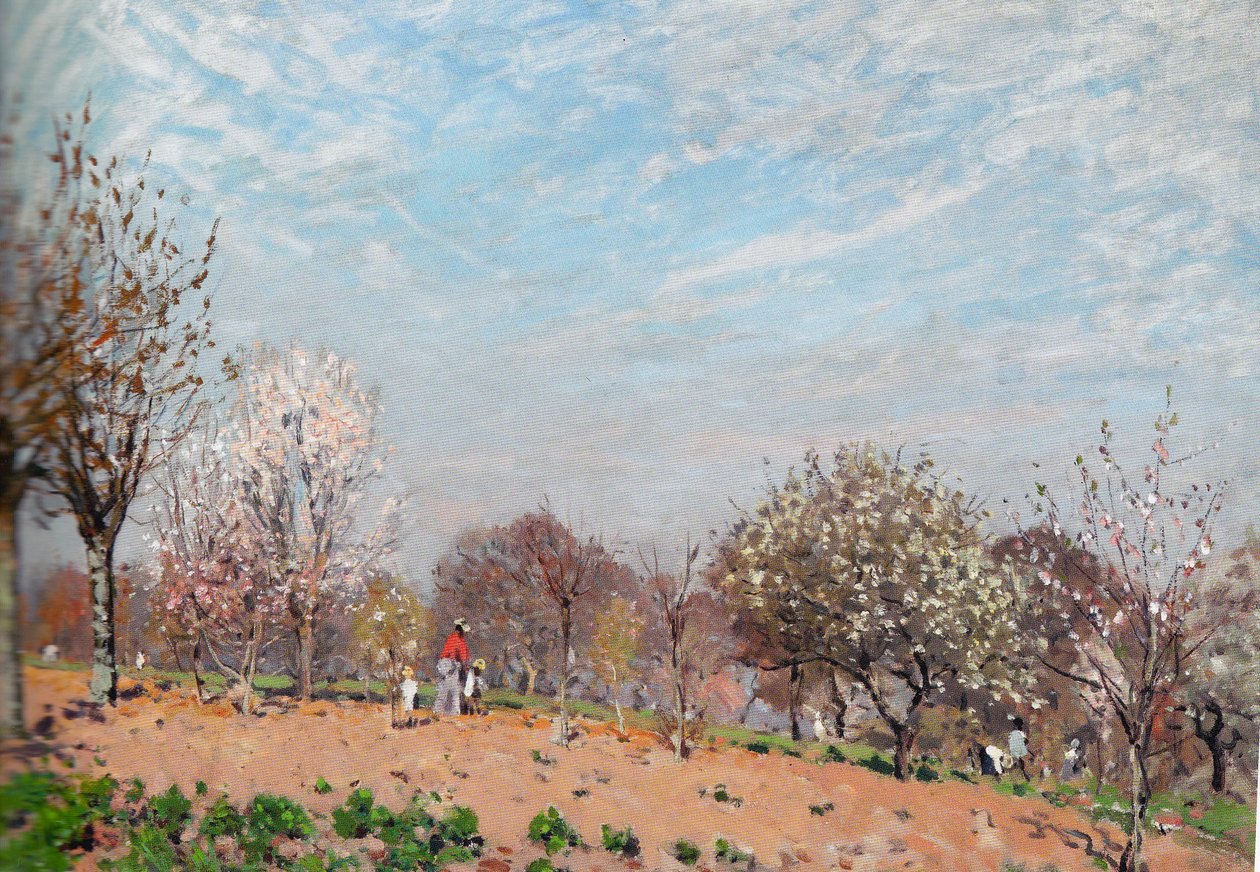 Apple Trees in Flower at Louveciennes by Alfred Sisley