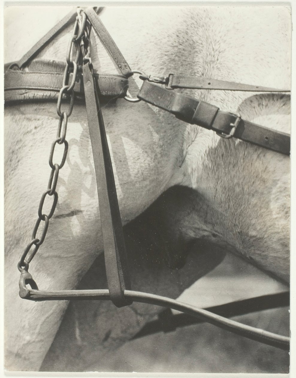 Equivalent, Spiritual America by Alfred Stieglitz
