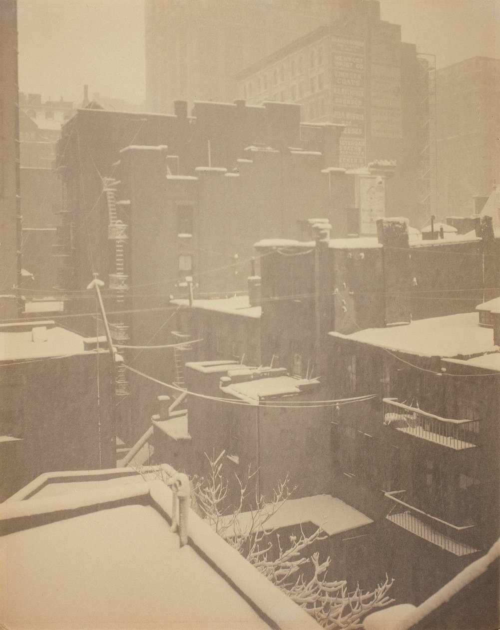 From the Back-Window by Alfred Stieglitz